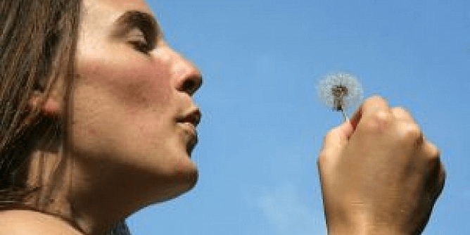 ¿Alergia? Combátela naturalmente ¿Alergia? Combátela naturalmente