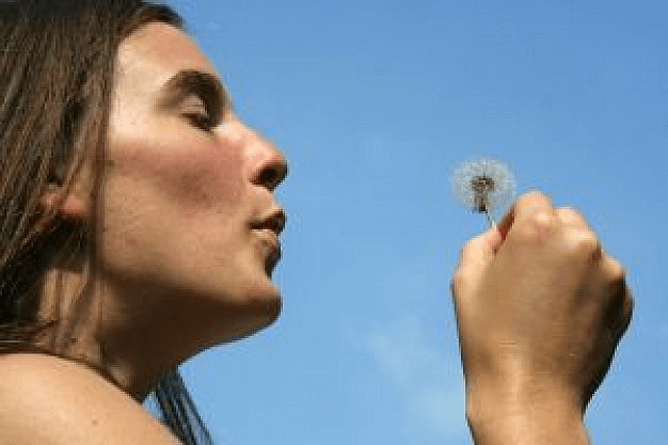 ¿Alergia? Combátela naturalmente ¿Alergia? Combátela naturalmente