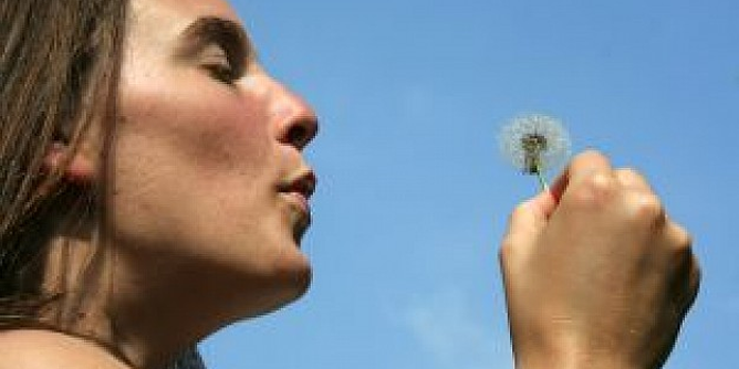 ¿Alergia? Combátela naturalmente