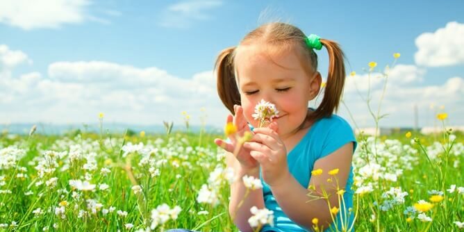 Ambientador gota a gota Ambientador gota a gota