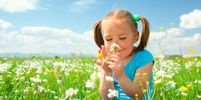 Ambientador gota a gota Ambientador gota a gota