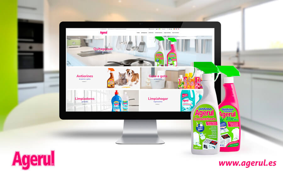 renovacion-de-la-web-de-agerul