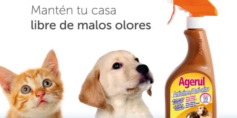 Antiorines Agerul Antiorines Agerul