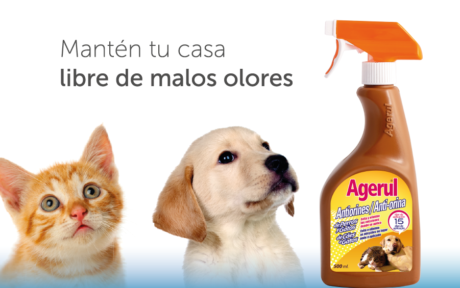 Antiorines Agerul Antiorines Agerul