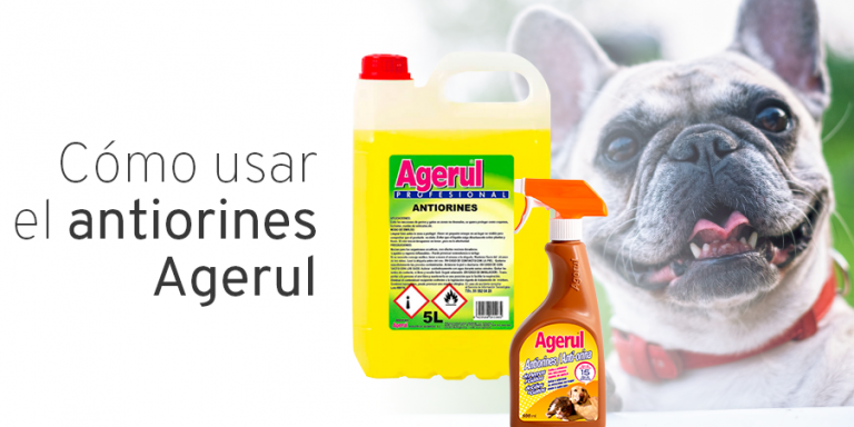 CABECERA BLOG ANTIORINES – comprar-antiorines-agerul