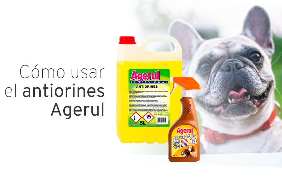 CABECERA BLOG ANTIORINES – comprar-antiorines-agerul